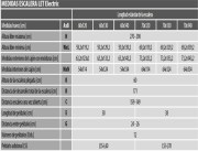 Escalera Escamoteable Electrica de tijera