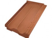 Teja Mazarron Plana Marsellesa